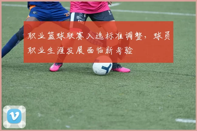 职业篮球联赛入选标准调整,球员职业生涯发展面临新考验