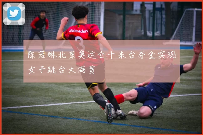 陈若琳北京奥运会十米台夺金实现女子跳台大满贯