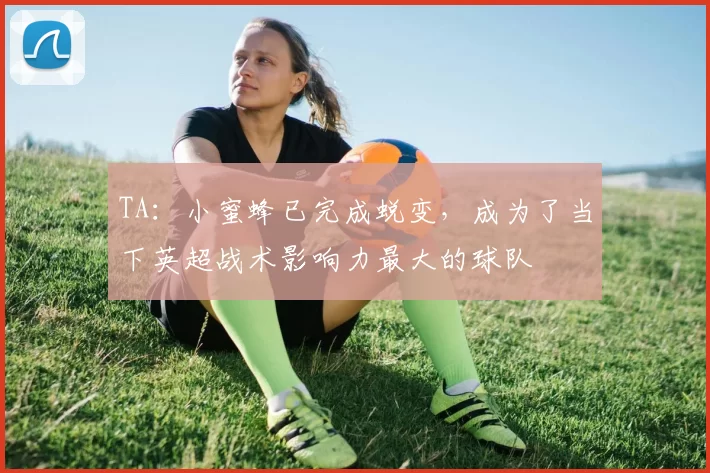 TA:小蜜蜂已完成蜕变,成为了当下英超战术影响力最大的球队